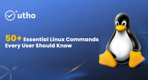 50+ Essential Linux Commands Every User Should Know