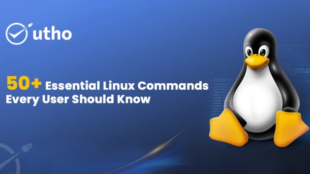 50+ Essential Linux Commands Every User Should Know