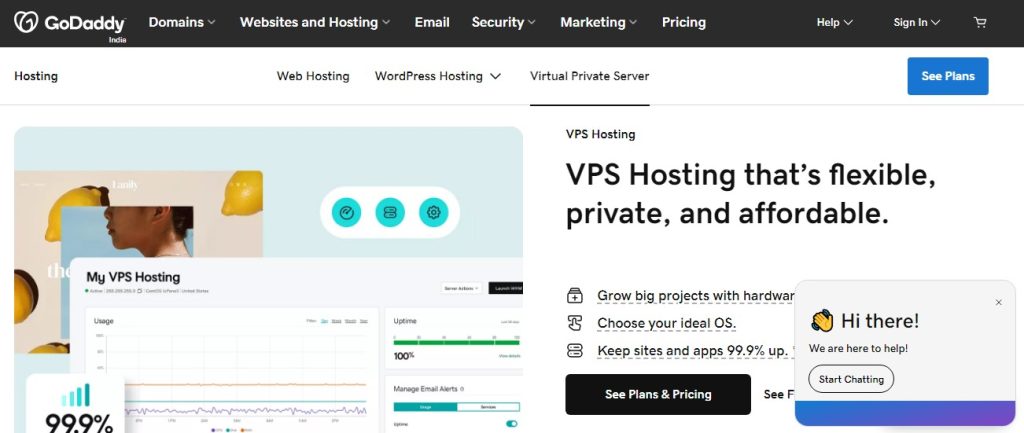 GoDaddy vps hosting