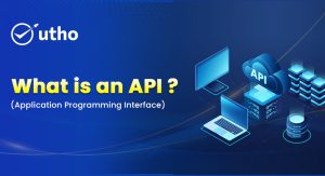 What is API