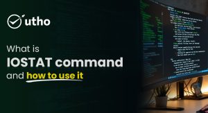 What is IOSTAT command and how to use it