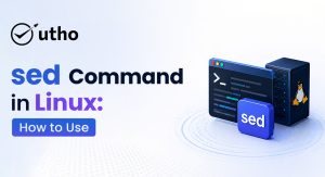 Sed Command in Linux: How to Use (With Examples)