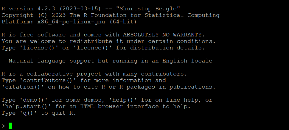 How to install R on Ubuntu 22.04