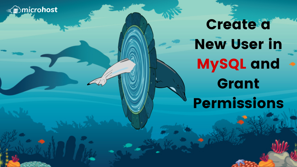 How To Create a New User and Grant Permissions in MySQL