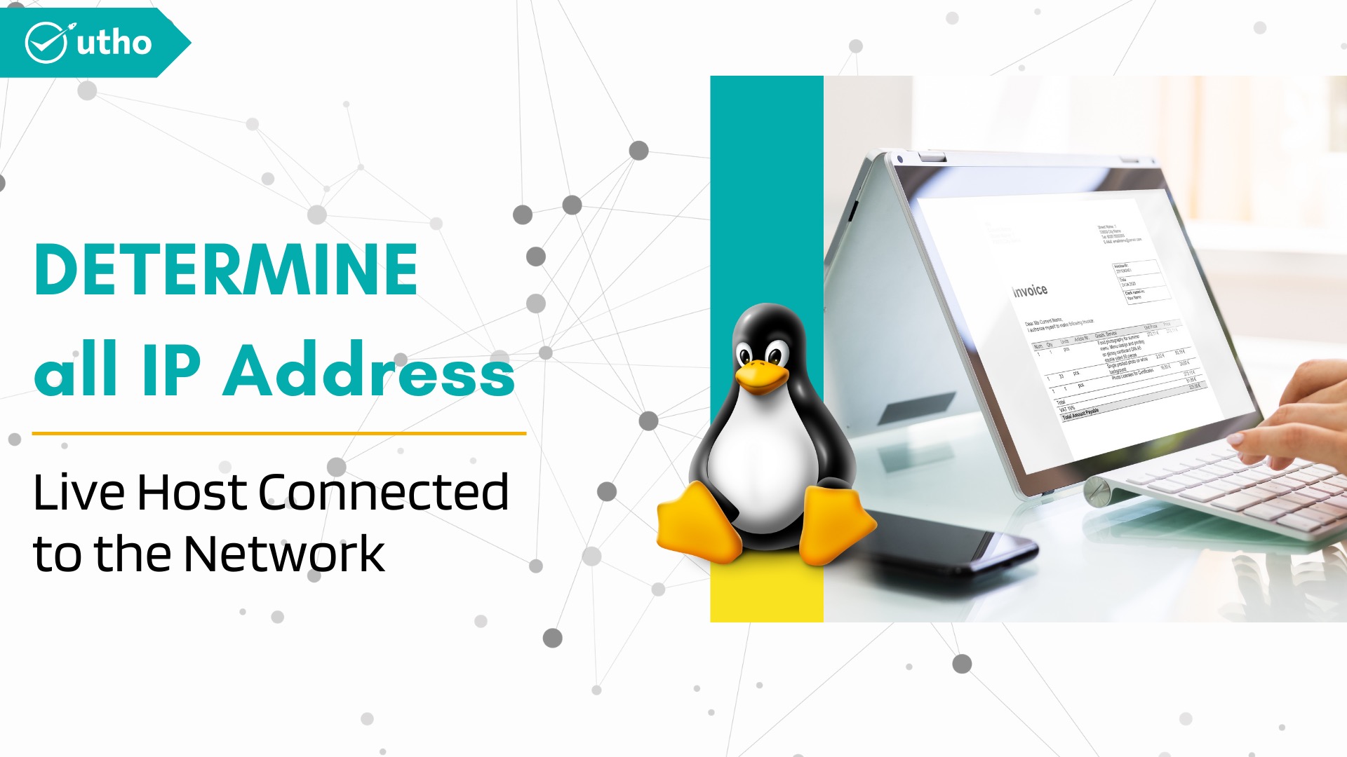 Determine All IP Addresses of Live Hosts Connected to the Network in Linux