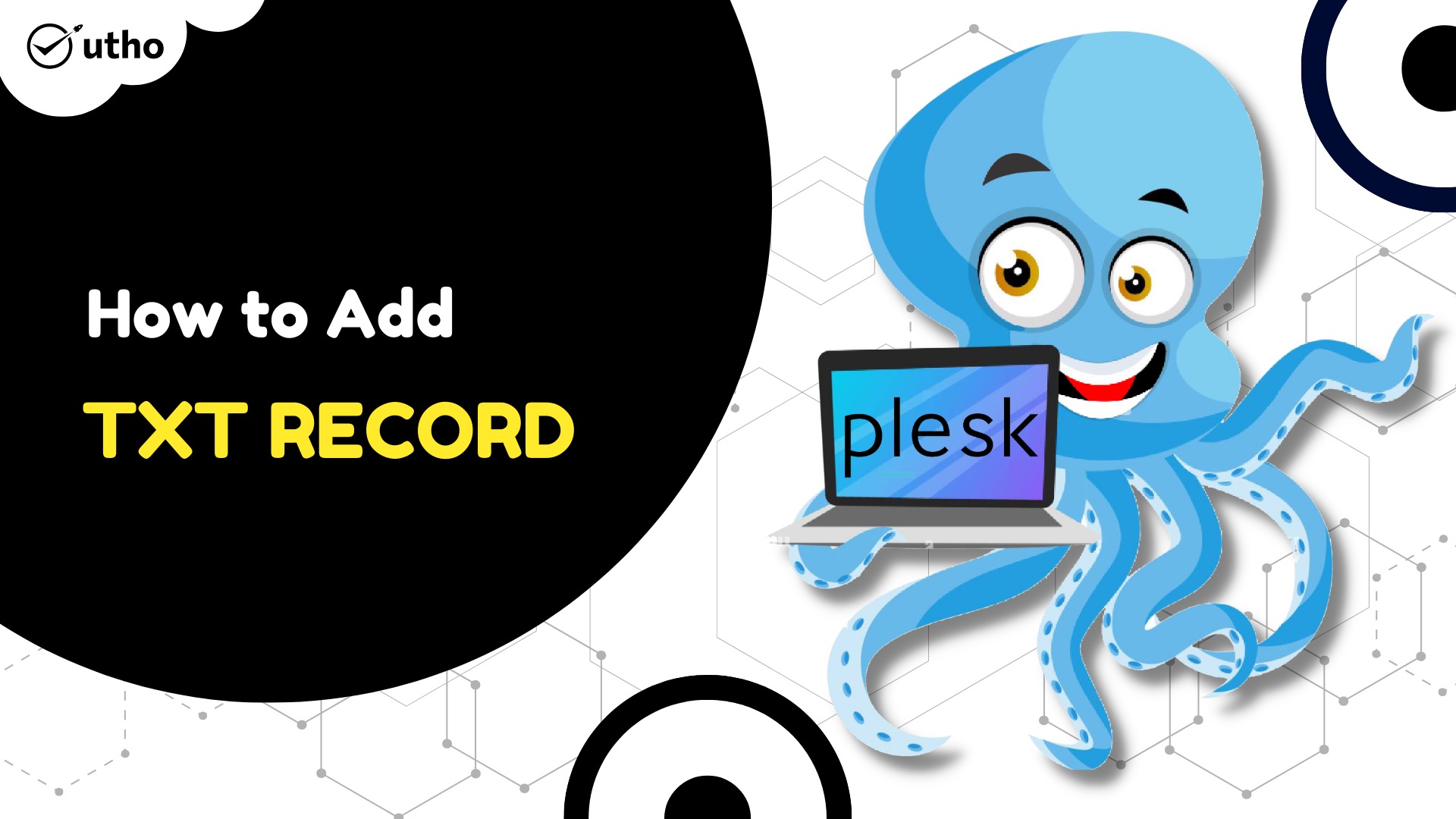 How to add TXT record in Plesk