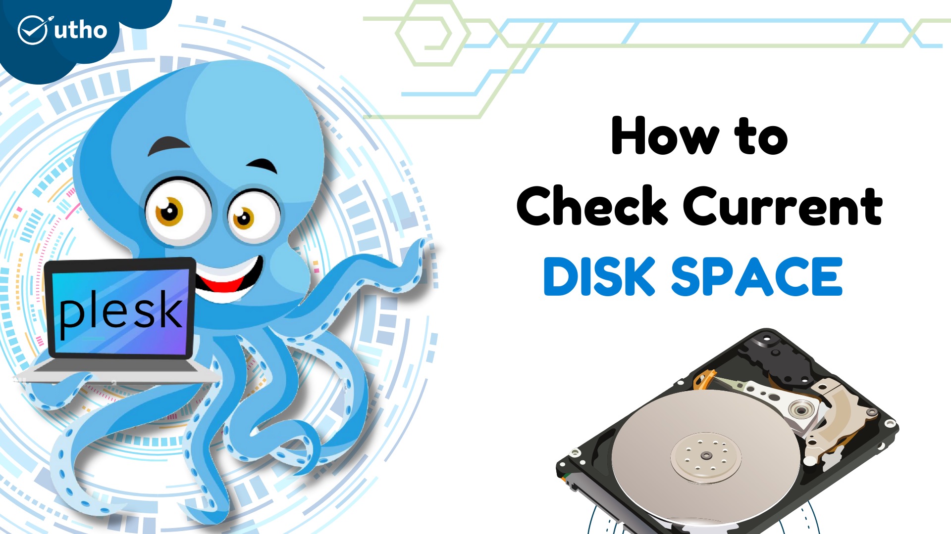 How to check current Disk Space in Plesk