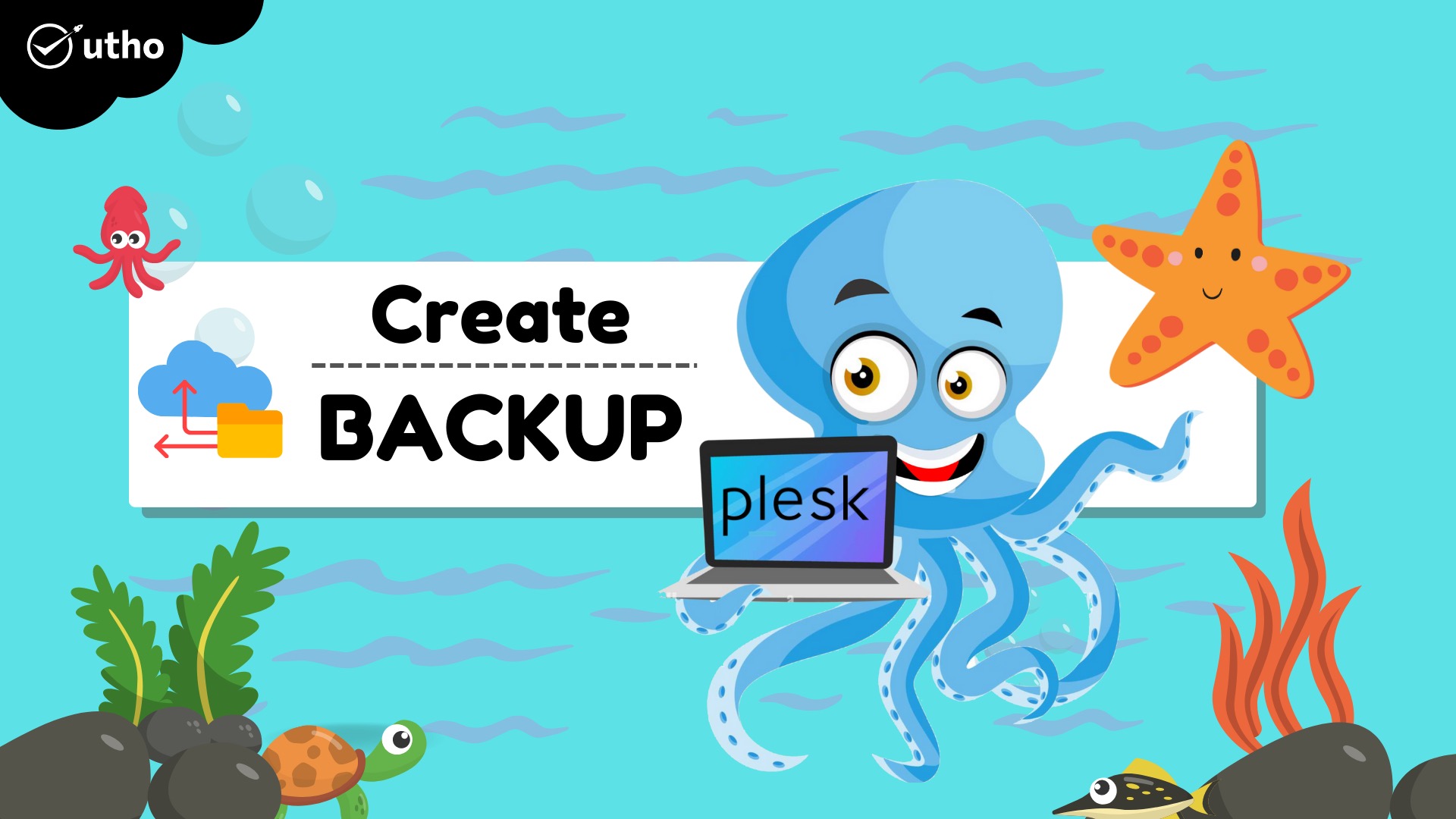 How to create a backup in Plesk