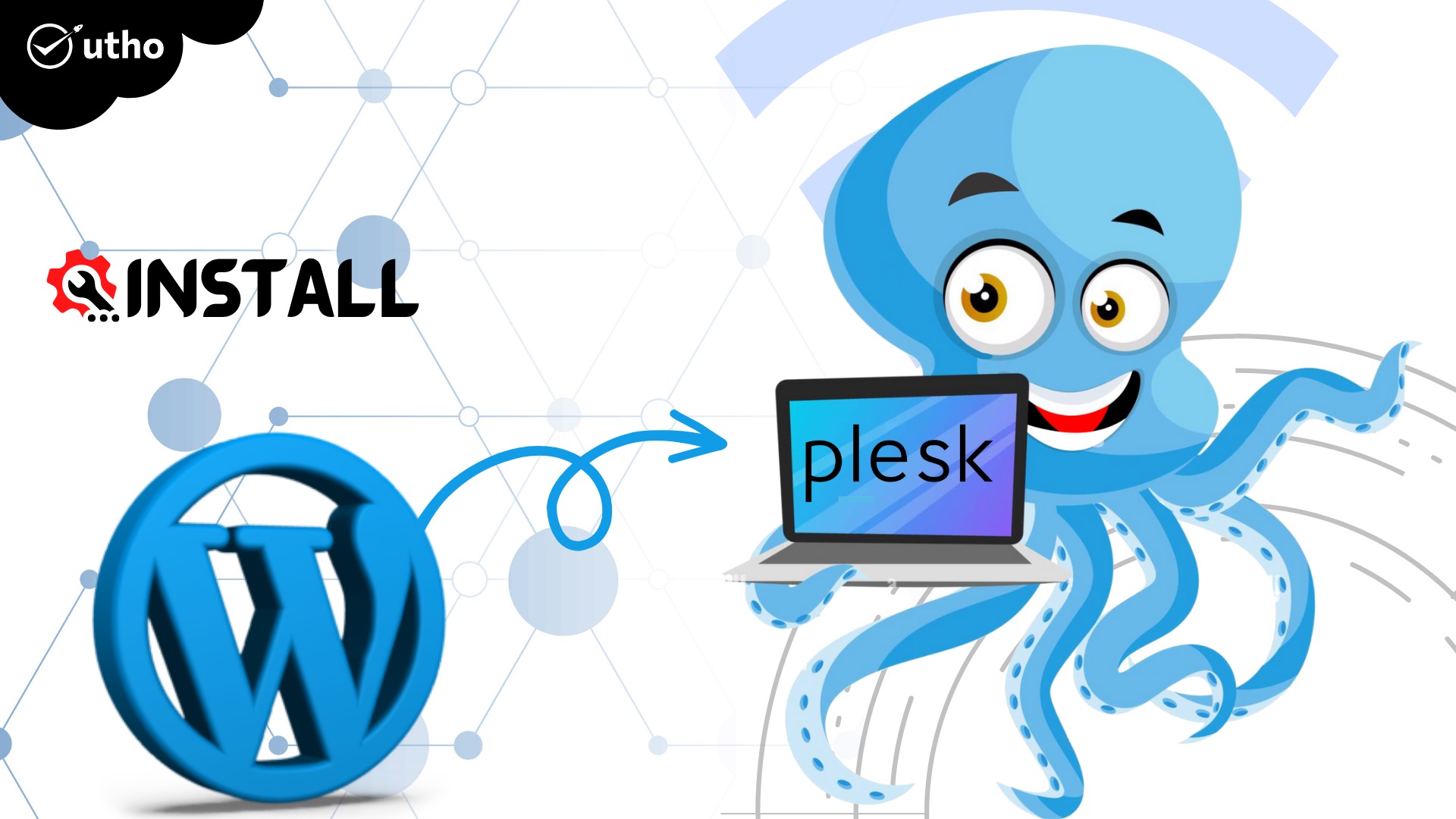 How to install WordPress in Plesk