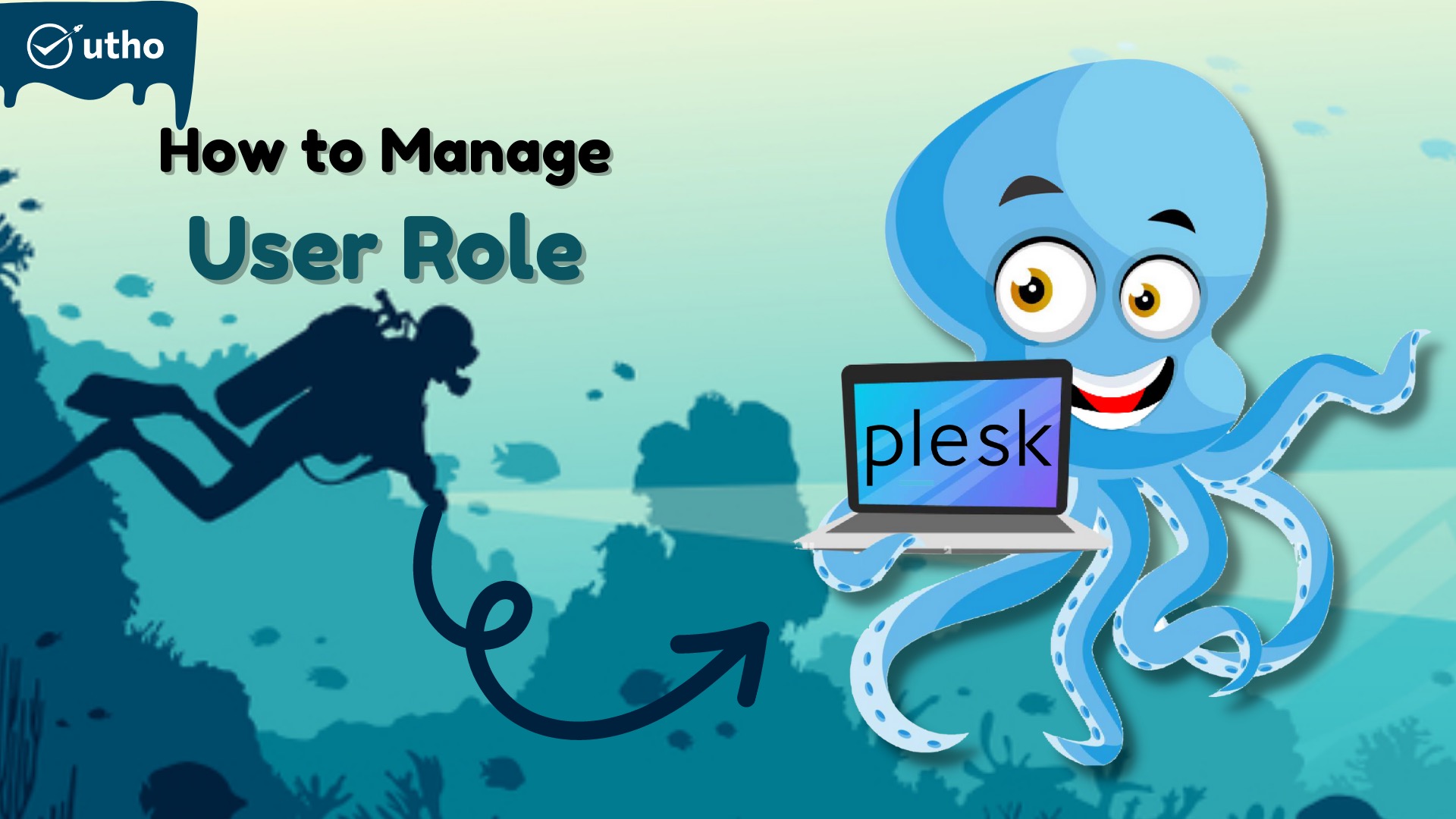 How to manage user roles in Plesk