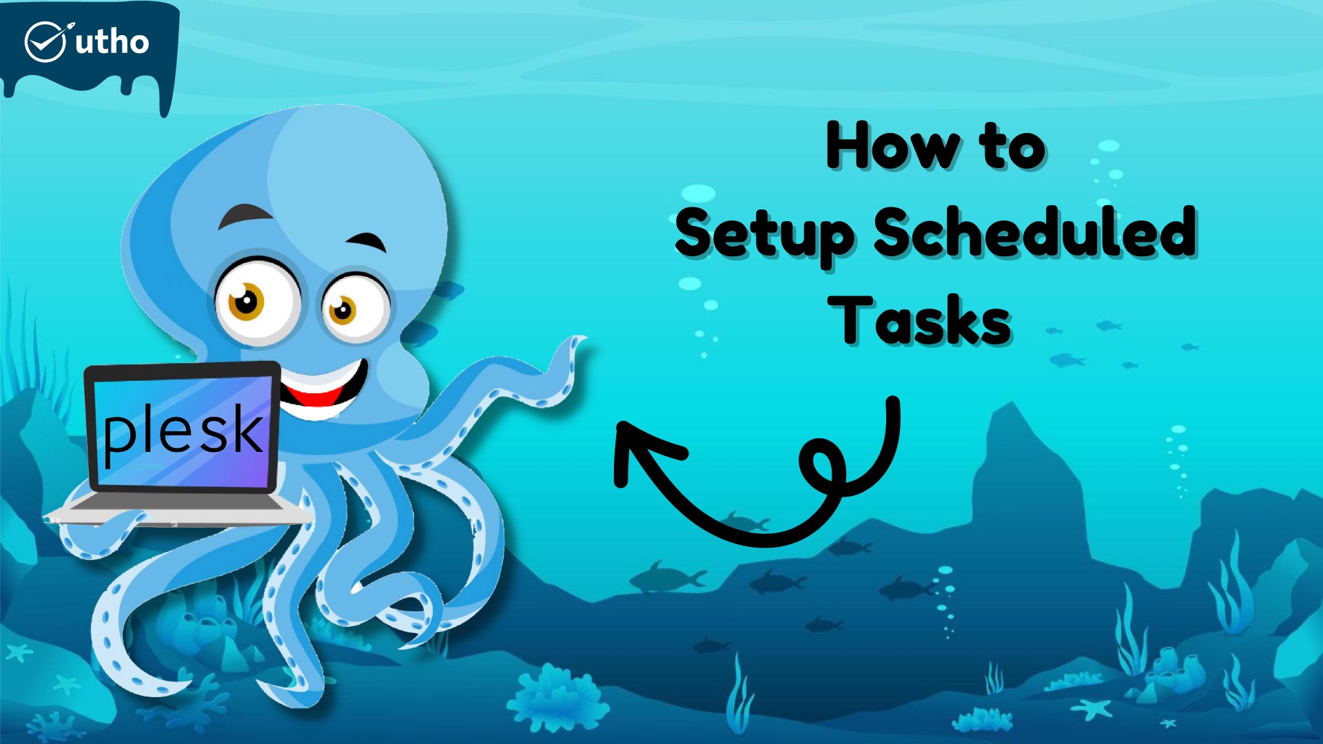 How to setup scheduled tasks in Plesk