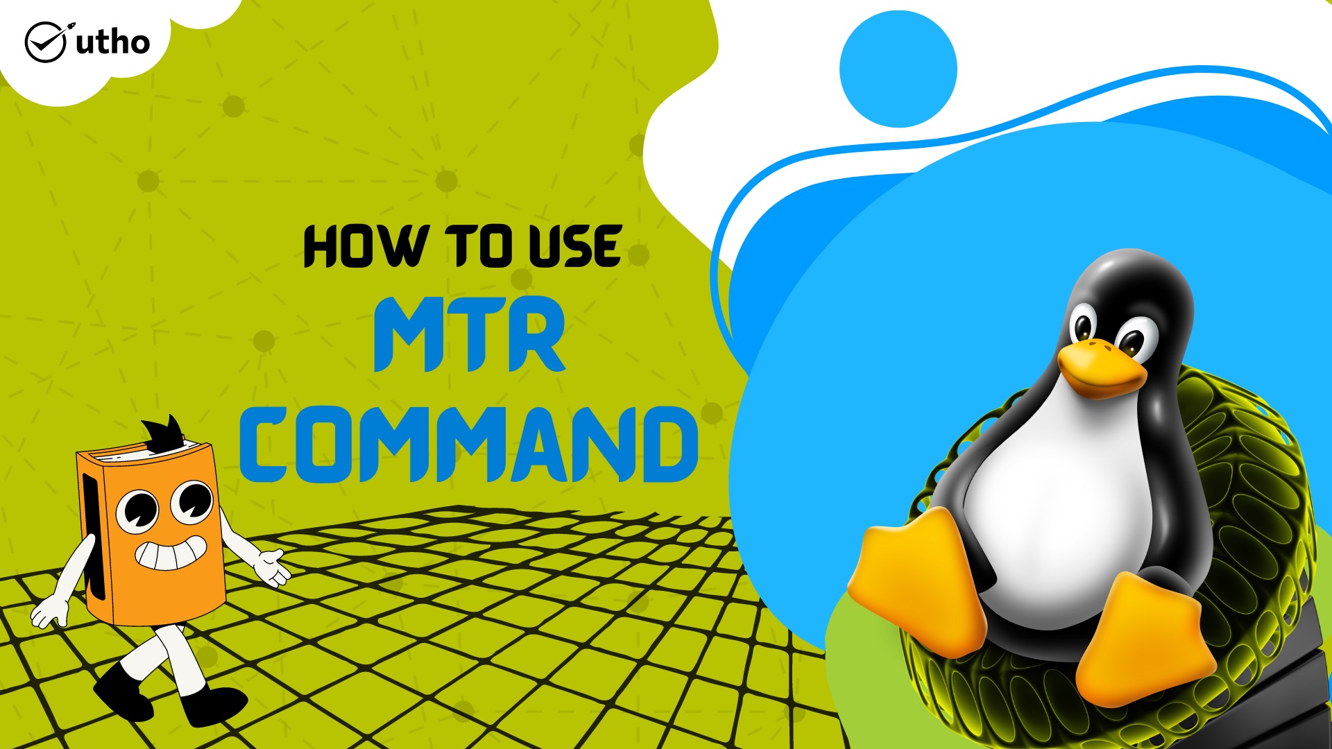How to use MTR command in Linux