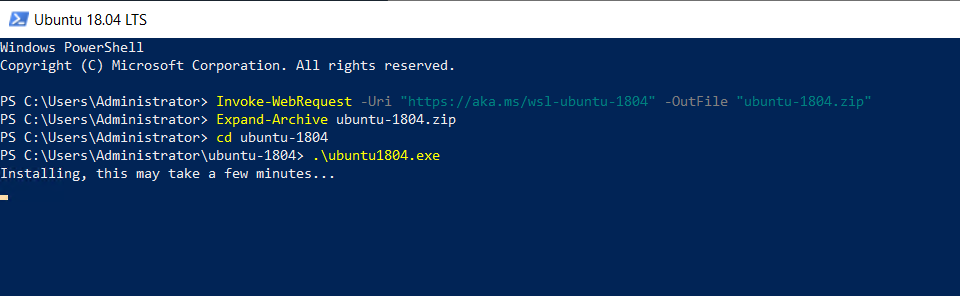 enable Windows Subsystem for Linux