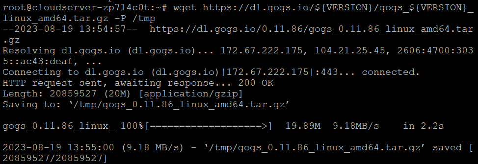 How to install Gogs on Debian 12