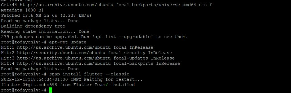 Install Flutter on Ubuntu-output