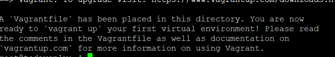 Install Vagrant on Ubuntu- output