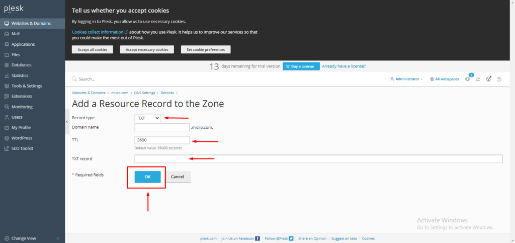 add TXT record in Plesk