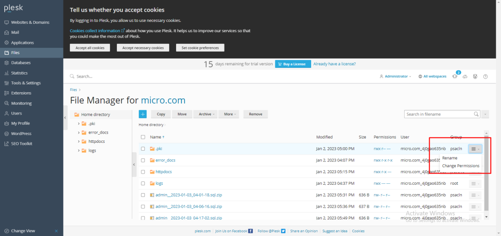 permissions to Files and Folders in Plesk.