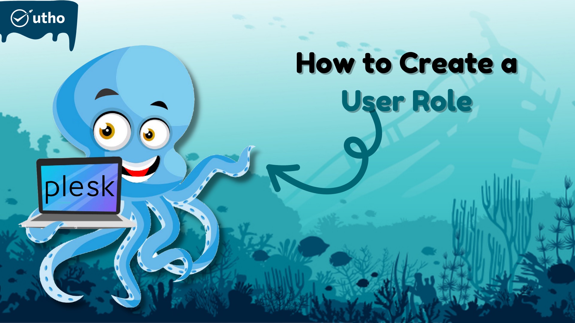How to create a user role in Plesk