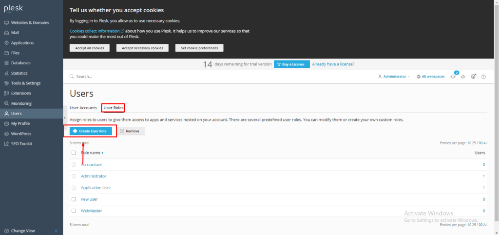 create a user role in Plesk