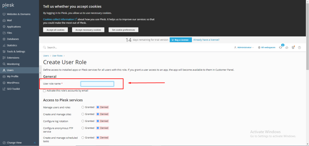 create a user role in Plesk