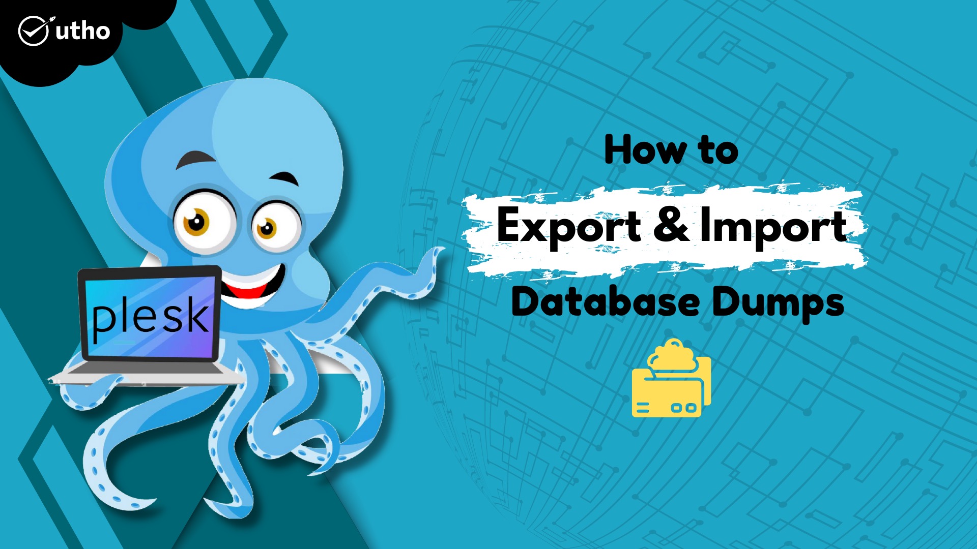 How to Export and Import Database Dumps in Plesk