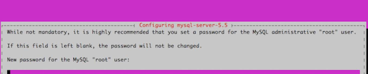 MySQL Relational Databases