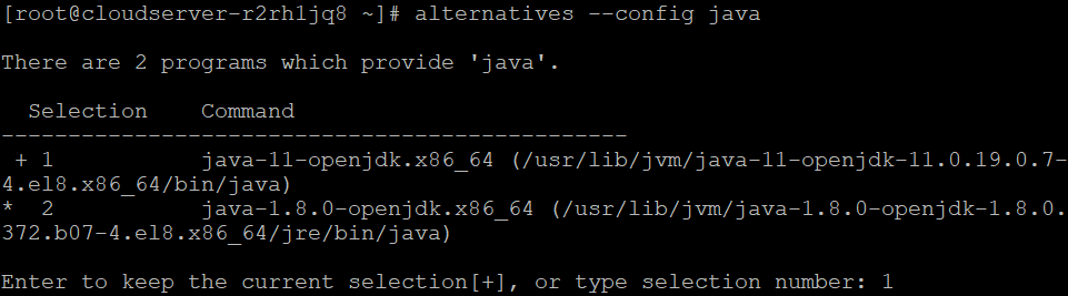 How to install Java on Almalinux 8