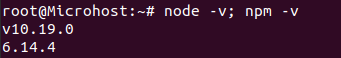 Version of installed nodejs and npm
