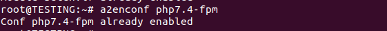 Add the php7.4 mod