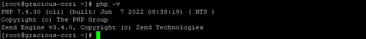 command output