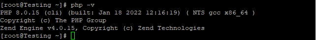 how to install PHP 8