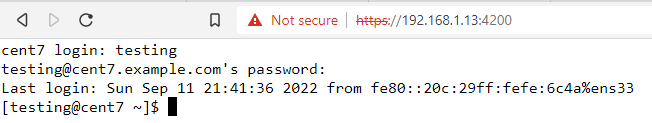 Shellinabox terminal logged in