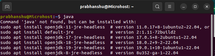 Java binary not found