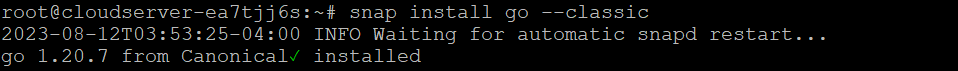 install Go on Debian