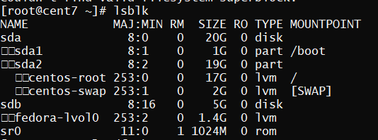 output of lsblk