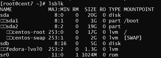 output of lsblk 