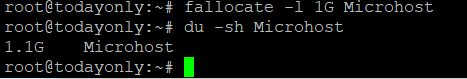 command output 