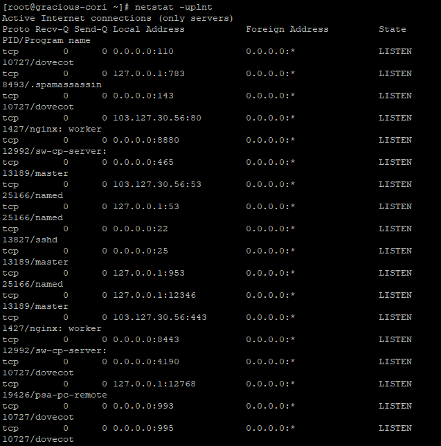 Application is Listening on the Correct Port