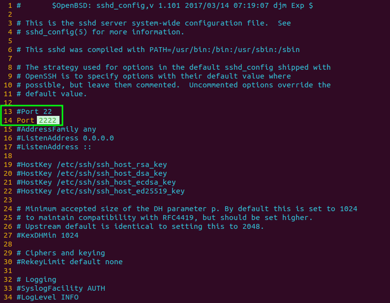 Add the custom port in configuration file