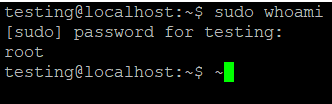 sudo file