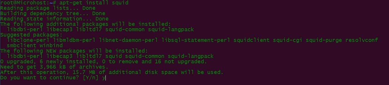 Installation of squid