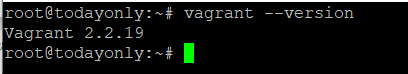 Install Vagrant on Ubuntu - output