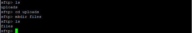 command output