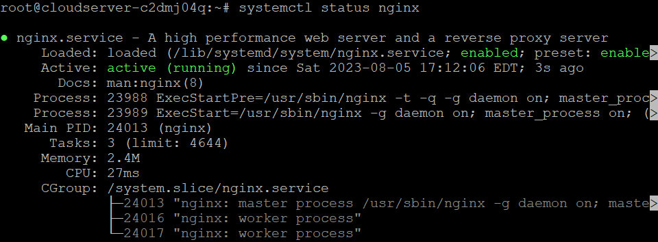 nginx status