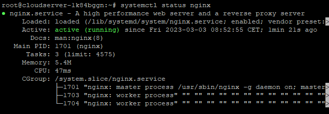 Nginx status