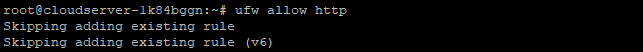 allow http
