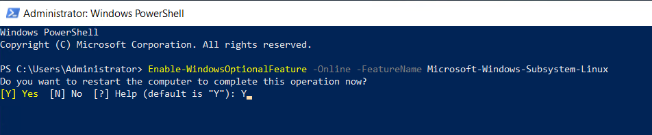 enable Windows Subsystem for Linux